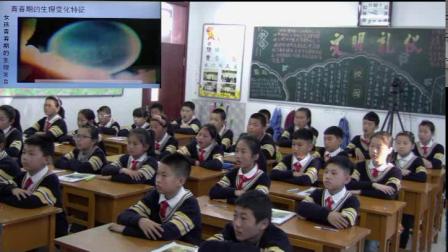 《3 男孩和女孩》课堂教学视频-湘科2001版小学科学五年级下册