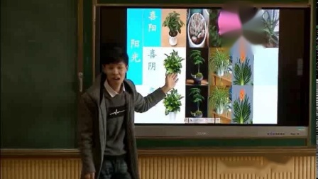 《1 植物角》优质课视频-湘科2017版小学科学二年级下册