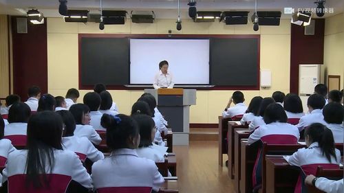 《古代非洲与美洲》部编版高中历史优质课视频