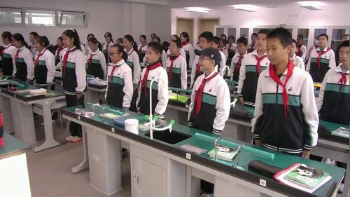 《病毒》人教版七上生物2025青年教师展示课视频