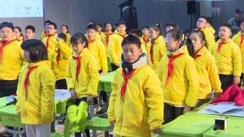 《开平雕楼——历史的足迹（软版画）》人美版五年级美术展示课视频