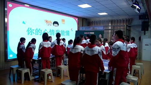 《你的心情我能懂》小学心理健康教育2025研讨课视频