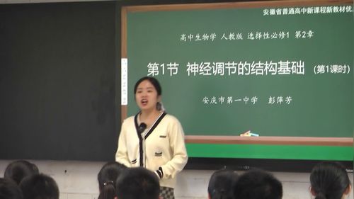 《神经调节的结构基础-第1课时》人教版高二生物选择性必修一优质课赛课视频