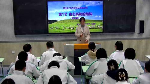 《生态系统的结构-第2课时》人教版高二生物选择性必修二优质课赛课一等奖视频