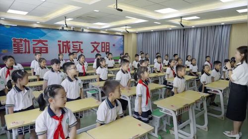 《认识平均分》苏教版二年级上册2025研讨课视频