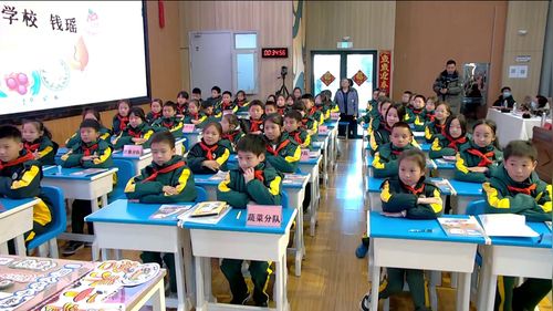 《营养午餐》人教版四下数学2025湖南省小学数学赛课视频