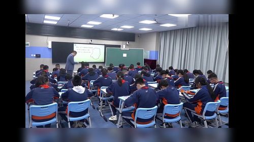 《不规则图形的面积》青岛版五上数学展示课视频