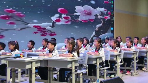 《墨梅》部编版四下语文2024名师之路-寻找阅读好课堂暨阅读展示课视频