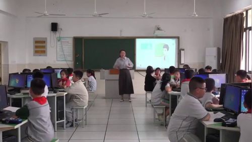 《数据图表中的健康密码》小学信息科技展示课视频