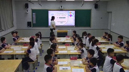 《动物的翅膀》青岛版三上科学展示课视频