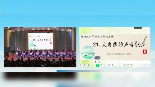 《大自然的声音》部编版三上语文2025第二届小语联合教研展示课视频