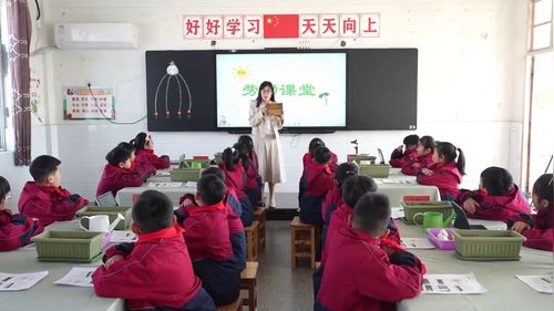 《种大蒜》苏科版小学劳动课视频