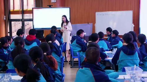 《制作微型密度计》人教版九年级物理跨学科展示课视频