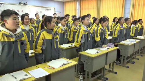 《中国石拱桥》部编版八上语文研讨课视频