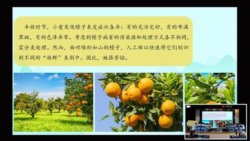 《“橙”以聚类——基于K-Means的橙子疾病聚类》高中教师人工智能技术素养展示课视频