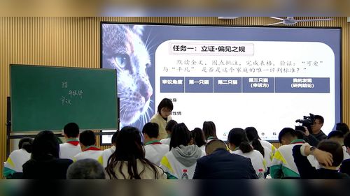 《猫》部编版七上语文展示课视频