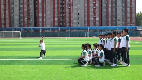 《少年拳第一套》小学六年级2025第十届中小学体育与健康教学展示研讨课视频