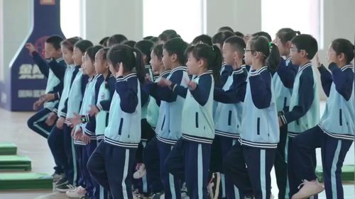 《多种形式的平衡与游戏》小学二年级2025第十届中小学体育与健康教学展示研讨课视频