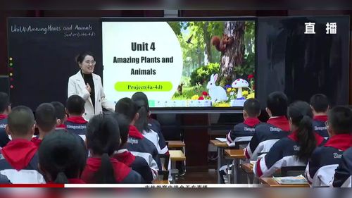 《Unit 4 Amazing Plants and Animals Project 》人教版八上英语2025基于新课标理念下教学方式的变革研讨课视频