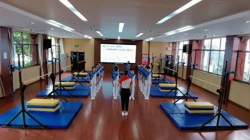 《体操（杠上运动）》小学六年级2025第十届中小学体育与健康教学展示研讨课视频