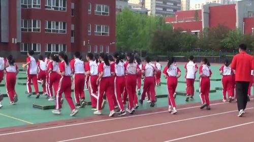 《体操-发展支撑跳跃能力的练习与游戏-箱上前滚翻》小学五年级2025第十届中小学体育与健康教学展示研讨课视频