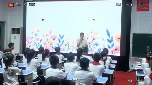 《一句“对不起”的力量》小学班会课视频
