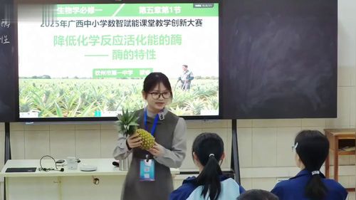 《降低化学反应活化能的酶二酶的特性》人教版高中生物必修一2025数智赋能课堂教学创新大赛赛课一等视频