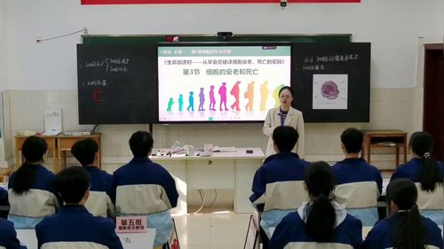《细胞的衰老和死亡》人教版高中生物必修一2025赛课二等奖视频