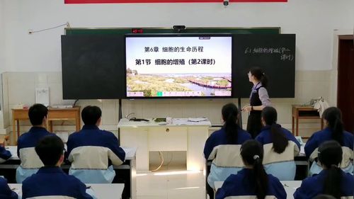《细胞的增殖》人教版高中生物必修一2025数智赋能课堂教学创新大赛赛课视频