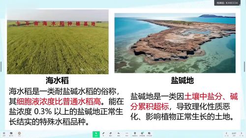 《主动运输与胞吞、胞吐》人教版高中生物必修一2025数智赋能课堂教学创新大赛赛课赛课二等奖视频