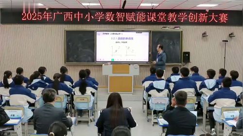 《单调性与最大（小）值》人教A版高中数学必修第一册2025数智赋能教学创新大赛视频