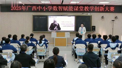 《函数的奇偶性》人教A版高中数学必修第一册2025数智赋能教学创新大赛视频
