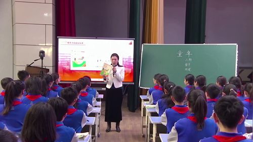 《童年——交流课》部编版六上语文2025整本书阅读展示课视频