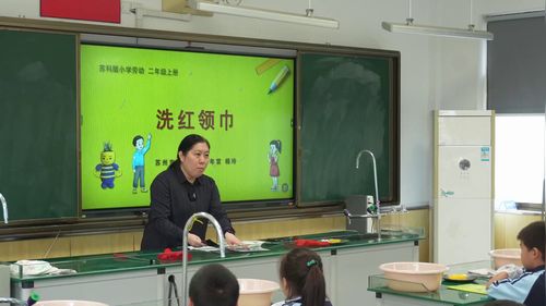 《洗红领巾》苏科版二上劳动展示课视频