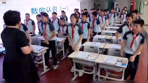 《数的认识总复习》人教版六下小学数学复习课型教学2025研讨课视频-王默涵