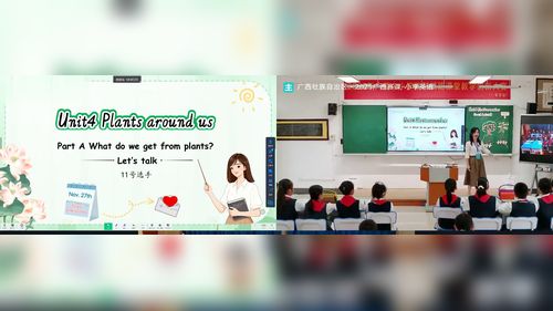 《Unit 4 Plants around us part A What do we get from plants》新人教三上英语展示课视频