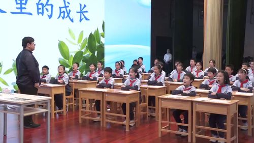 《夏天里的成长》部编版六上语文2023年七彩语文第九届语文教师素养比赛展示课视频