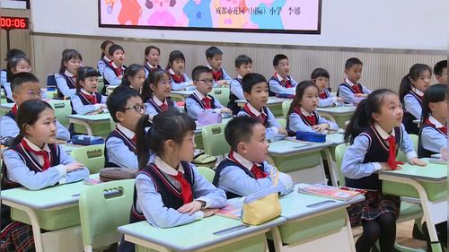 《自我介绍》部编版四下语文展示课视频