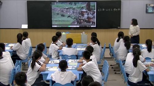 《中国的地形（第二课时：地形复杂多样）》湘教版八上地理展示课视频