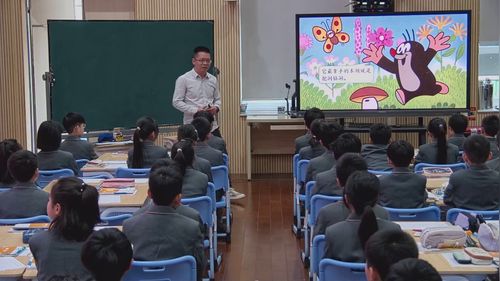 数图形的学问 - 优质课公开课视频专辑