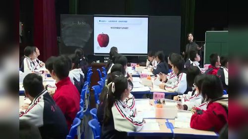 《原子结构》人教版高中化学必修一2025优质课展示视频