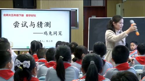 鸡兔同笼 - 优质课公开课视频专辑