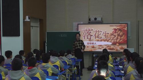 落花生 - 优质课公开课视频专辑