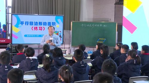 《平行四边形的面积》（练习课）人教版五上数学2025研讨课视频