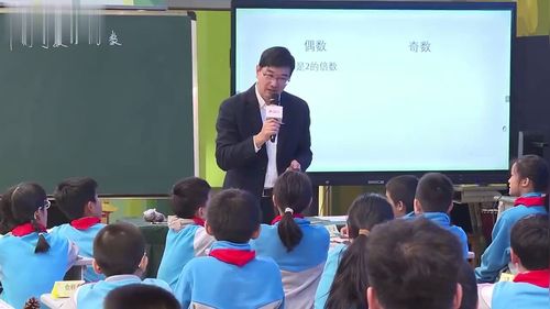 拓展课 - 优质课公开课视频专辑