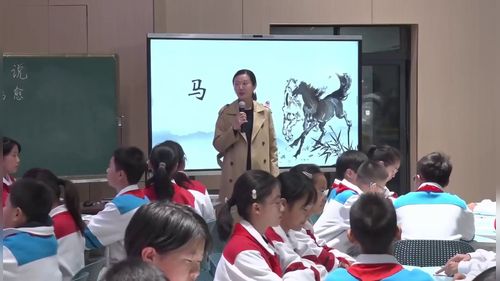 思辨性阅读 - 优质课公开课视频专辑