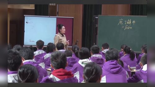 庖丁解牛 - 优质课公开课视频专辑