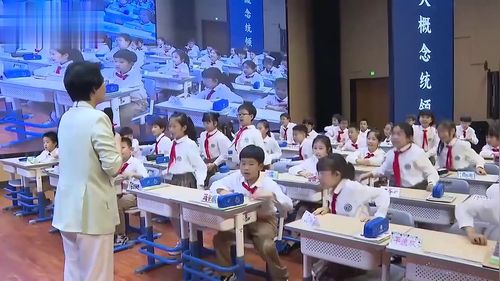 《平均数的再认识》人教版四下数学2024新教材名师研讨课视频