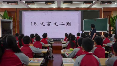 《囊萤夜读》部编版四下语文立足单元学习任务，落实读写融合策略2025研讨课视频
