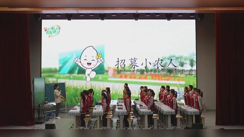 《我们的食物之源》部编版四下道德与法治2025研讨课视频